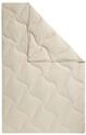 fan Naturfaserbettdecke "TENCEL&trade; Leinen" normal F&uuml;llung 50% Lyocell (TENCEL&trade;),