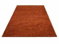 Hochflor-Teppich BRUNO BANANI "Shaggy Soft" Teppiche Gr. B/L: 200 cm x 290 cm,...