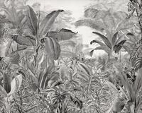 Komar Vliestapete "Digitaldruck Vlies - Roraima - Gr&ouml;&szlig;e 350 x 280 cm" bedruckt