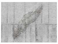 KOMAR Vliestapete "Concrete Feather" Tapeten 350x250 cm (Breite x Höhe) Gr. B/L: 350