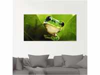 Glasbild ARTLAND "Ausspähender Frosch" Bilder Gr. B/H: 60 cm x 30 cm,...