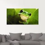 Artland Glasbild "Aussp&auml;hender Frosch" Wassertiere 1 Stk. tlg. in verschiedenen