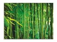 Glasbild ARTLAND "Bambus I" Bilder Gr. B/H: 80 cm x 60 cm, Glasbild Gräser