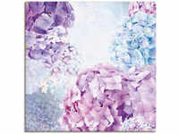 Wandbild ARTLAND "Blau und Pink Hortensie" Bilder Gr. B/H: 70 cm x 70 cm,