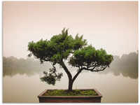 Artland Wandbild "Chinesischer Bonsaibaum", Bäume, (1 St.), als Alubild,