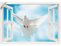 Artland Wandbild "Fensterblick Taube vor der Sonne", Vögel, (1 St.), als