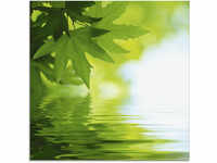 Artland Glasbild "Grüne Blätter reflektieren im Wasser", Blätter, (1 St.), in
