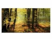 Glasbild ARTLAND "Herbstlicht im Wald" Bilder Gr. B/H: 60 cm x 30 cm, Glasbild...