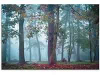 Artland Wandbild "Nebel im Wald", Waldbilder, (1 St.), als Alubild, Outdoorbild,