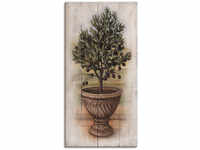 Leinwandbild ARTLAND "Olivenbaum mit Holzoptik" Bilder Gr. B/H: 50 cm x 100 cm,