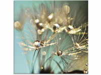 Artland Glasbild "Pusteblume glänzendes Gold", Blumen, (1 St.), in...