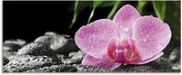 Artland Glasbild "Rosa Orchidee auf schwarzen Zen Steinen" Blumen 1 Stk. tlg. in