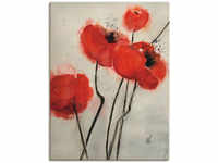 Artland Wandbild "Roter Mohn", Blumen, (1 St.), als Leinwandbild, Poster in