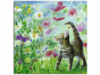 Artland Wandbild "Sommerwiese mit Kätzchen", Haustiere, (1 St.), als...