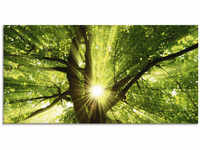 Artland Glasbild "Sonne strahlt explosiv durch den Baum", Bäume, (1 St.), in