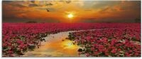 Artland Glasbild "Sonnenschein bl&uuml;hende Lotusblume" Blumen 1 Stk. tlg. in