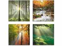 Artland Leinwandbild "Wald Wasserfall Herbsttag", Wald, (4 St.), 4er Set,