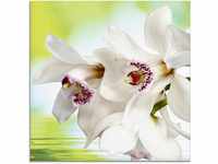 Artland Glasbild "Weiße Orchidee", Blumen, (1 St.), in verschiedenen Größen