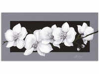 Artland Wandbild "Weiße Orchideen auf grau", Blumen, (1 St.), als Alubild,