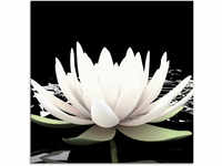 Artland Glasbild "Zwei Lotusblumen auf dem Wasser", Blumen, (1 St.), in...