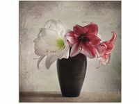 Artland Glasbild "Amaryllis Vintage I", Blumen, (1 St.), in verschiedenen...