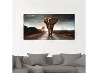 Glasbild ARTLAND "Ein Elefant läuft auf der Straße" Bilder Gr. B/H: 100 cm x...