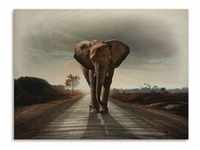 Holzbild ARTLAND "Ein Elefant läuft auf der Straße" Bilder Gr. B/H/T: 80 cm x...