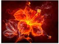 Glasbild ARTLAND "Feuerblume" Bilder Gr. B/H: 60 cm x 45 cm, Blumen, 1 St., rot