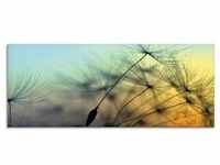 Glasbild ARTLAND "Goldener Sonnenuntergang und Pusteblumen" Bilder Gr. B/H: 125...