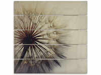 Holzbild ARTLAND "Große Pusteblume" Bilder Gr. B/H/T: 50 cm x 50 cm x 2,4 cm,