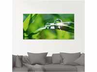 Glasbild ARTLAND "Grüner Hintergrund mit Gras" Bilder Gr. B/H: 60 cm x 45 cm,