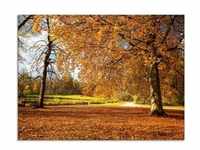 Glasbild ARTLAND "Herbst bei Schlosses Nymphenburg" Bilder Gr. B/H: 80 cm x 60...