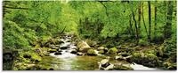 Artland Glasbild "Herbstwald Fluss Smolny" Wald 1 Stk. tlg. in verschiedenen Gr&ouml;&szlig;en