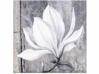 Glasbild ARTLAND "Klassische Magnolie" Bilder Gr. B/H: 50 cm x 50 cm, Blumen, 1...
