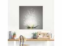 Glasbild ARTLAND "Magie der Lotus-Blume" Bilder Gr. B/H: 60 cm x 30 cm, Blumen,...