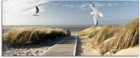 Artland Glasbild "Nordseestrand auf Langeoog mit M&ouml;wen" Strand 1 Stk. tlg. in