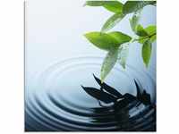 Artland Glasbild "Pflanze und Wasser", Zen, (1 St.), in verschiedenen Größen