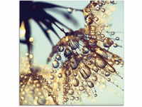 Artland Glasbild "Pusteblume Goldener Regen", Blumen, (1 St.), in verschiedenen