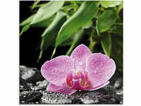 Glasbild ARTLAND "Rosa Orchidee auf schwarzen Zen Steinen" Bilder Gr. B/H: 50...