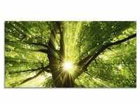 Glasbild ARTLAND "Sonne strahlt explosiv durch den Baum" Bilder Gr. B/H: 100 cm...