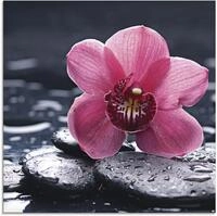 Artland Glasbild "Stillleben mit Kiesel und einer Orchidee" Blumen 1 Stk. tlg. in