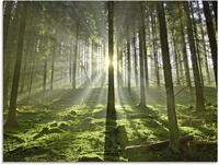 Artland Glasbild "Wald im Gegenlicht" Wald 1 Stk. tlg. in verschiedenen Gr&ouml;&szlig;en