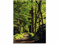 Glasbild ARTLAND "Weg im Wald" Bilder Gr. B/H: 45 cm x 60 cm, Wald, 1 St., grün