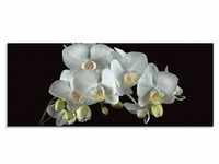 Glasbild ARTLAND "Weiße Orchidee auf schwarzem Hintergrund" Bilder Gr. B/H:...