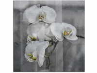 Artland Glasbild "Weisse Orchideen - white Orchid", Blumen, (1 St.), in...