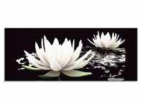 Glasbild ARTLAND "Zwei Lotusblumen auf dem Wasser" Bilder Gr. B/H: 125 cm x 50...