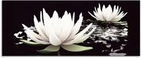 Artland Glasbild "Zwei Lotusblumen auf dem Wasser" Blumen 1 Stk. tlg. in