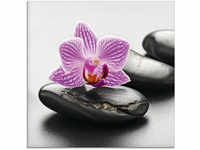 Artland Glasbild "Spa-Konzept mit Zen Steinen und Orchidee", Zen, (1 St.), in