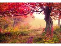 PAPERMOON Fototapete "Autumn Trees" Tapeten Gr. B/L: 2 m x 1,49 m, Bahnen: 4...