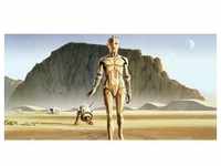 KOMAR Vliestapete "Star Wars Classic RMQ Droids" Tapeten 500x250 cm (Breite x Höhe)